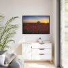 88289-358.jpg Red Poppies in the Sunset Framed Canvas