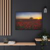 88289-359.jpg Red Poppies in the Sunset Framed Canvas