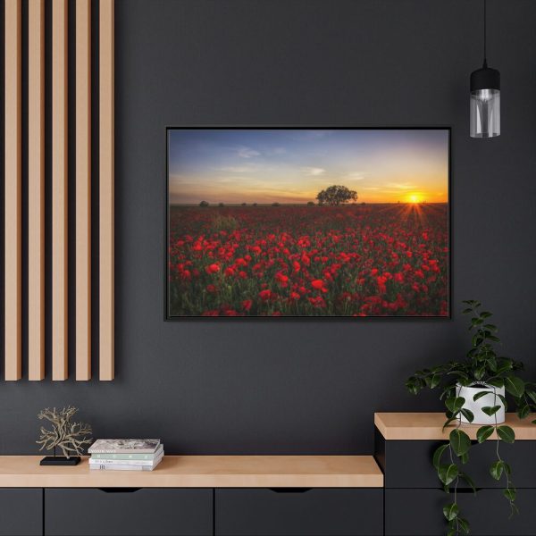 88289-359.jpg Red Poppies in the Sunset Framed Canvas