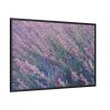 88289-360.jpg Tall Lavender Plants Framed Canvas