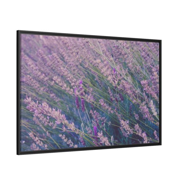 88289-360.jpg Tall Lavender Plants Framed Canvas