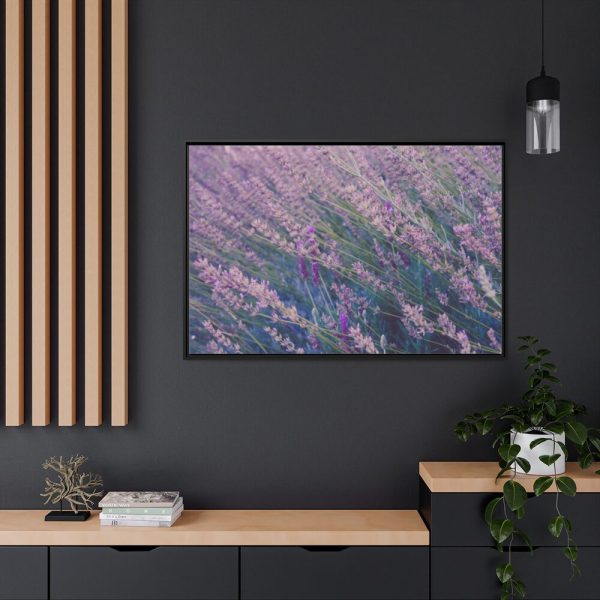 88289-364.jpg Tall Lavender Plants Framed Canvas