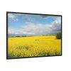 88289-365.jpg Oilseed Rape Field Yellow Framed Canvas