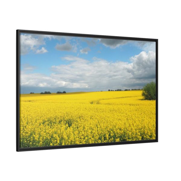 88289-365.jpg Oilseed Rape Field Yellow Framed Canvas