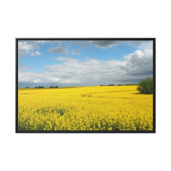 88289-366.jpg Oilseed Rape Field Yellow Framed Canvas