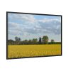 88289-370.jpg Oilseed Rape Field Rapeseeds Framed Canvas