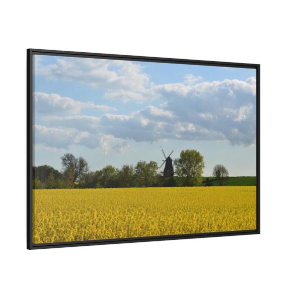 88289-370.jpg Oilseed Rape Field Rapeseeds Framed Canvas