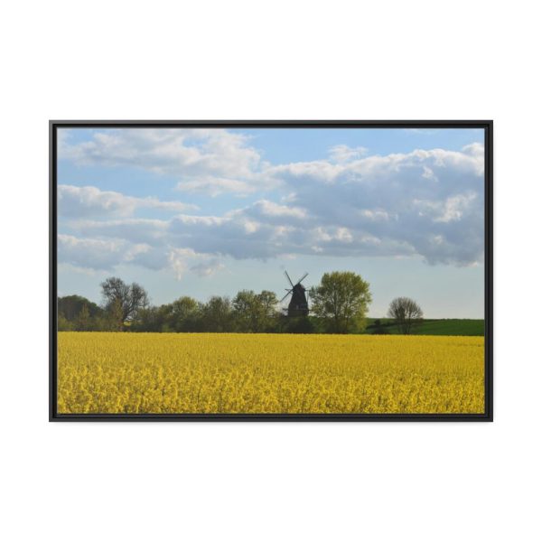 88289-371.jpg Oilseed Rape Field Rapeseeds Framed Canvas