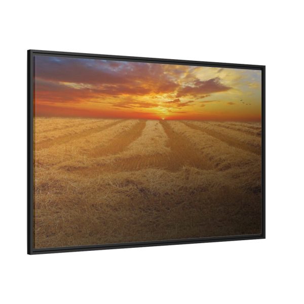 88289-45.jpg Wheat field Framed Canvas