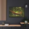 Sunlight and Shadow by Winslow Homer Framed Canvas