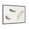 88289-95.jpg Study of Three Feathers Framed Canvas