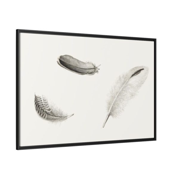 88289-95.jpg Study of Three Feathers Framed Canvas
