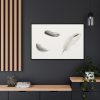 88289-99.jpg Study of Three Feathers Framed Canvas