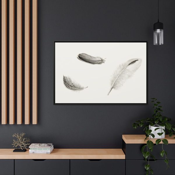 88289-99.jpg Study of Three Feathers Framed Canvas