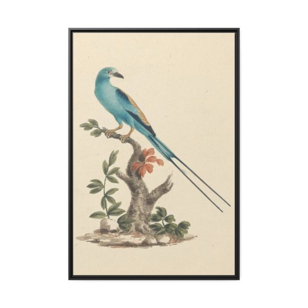 88299-1.jpg Coracias abyssinicus (Abyssinian Roller) Framed Canvas
