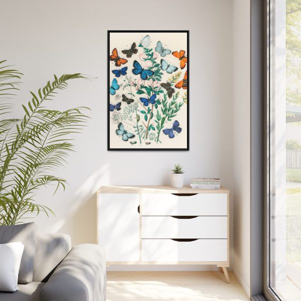 88299-173.jpg European Butterflies and Moths by William Forsell Kirby Framed Canvas