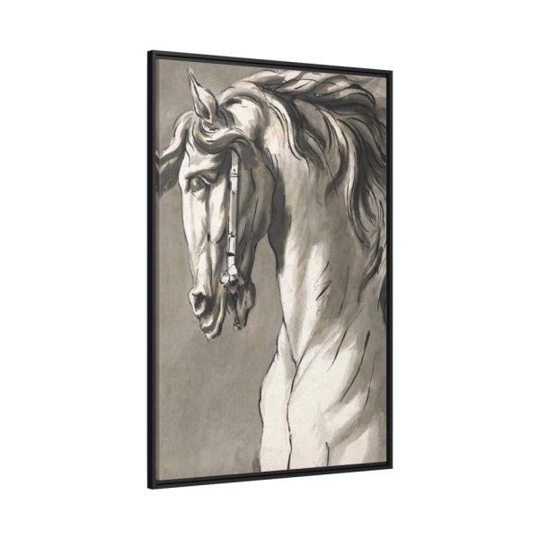 Study of a Horse's Head by John Michael Rysbrack Framed Canvas