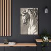 Study of a Horse's Head by John Michael Rysbrack Framed Canvas