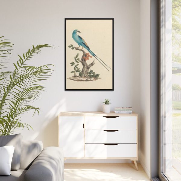 88299-3.jpg Coracias abyssinicus (Abyssinian Roller) Framed Canvas