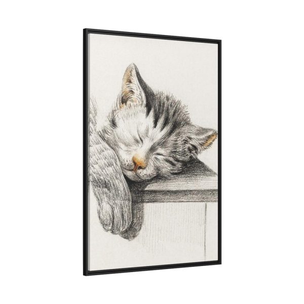 Sketch of a Sleeping Cat Framed Canvas