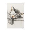 Sketch of a Sleeping Cat Framed Canvas