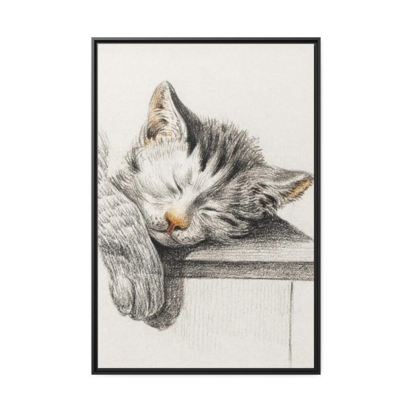 Sketch of a Sleeping Cat Framed Canvas