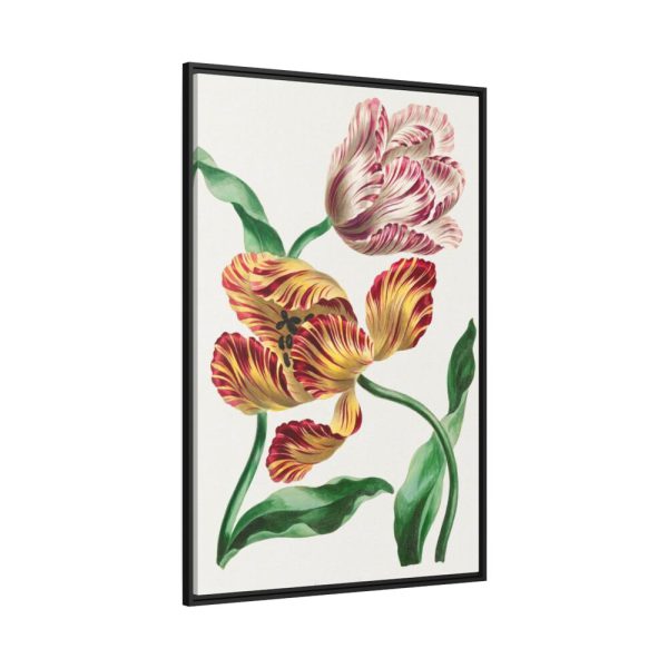 88299-70.jpg Various Tulips by John Edwards Framed Canvas