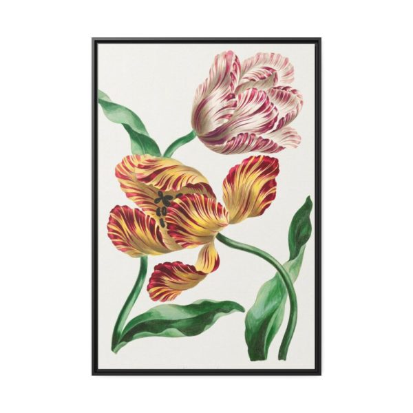 88299-71.jpg Various Tulips by John Edwards Framed Canvas