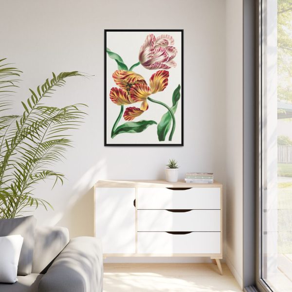88299-73.jpg Various Tulips by John Edwards Framed Canvas