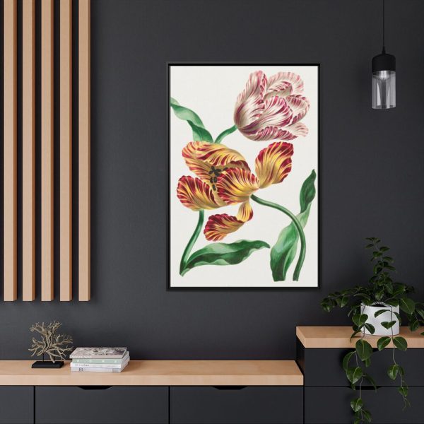88299-74.jpg Various Tulips by John Edwards Framed Canvas