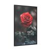 88299-90.jpg Close-up of a Red Rose With Its Petals Framed Canvas