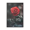 88299-91.jpg Close-up of a Red Rose With Its Petals Framed Canvas