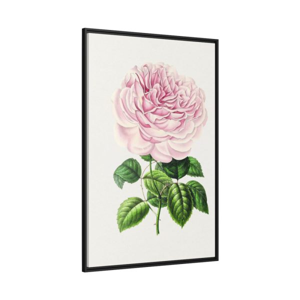 88299-95.jpg Hand Drawn Bengal Rose Framed Canvas