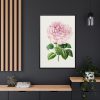 88299-99.jpg Hand Drawn Bengal Rose Framed Canvas