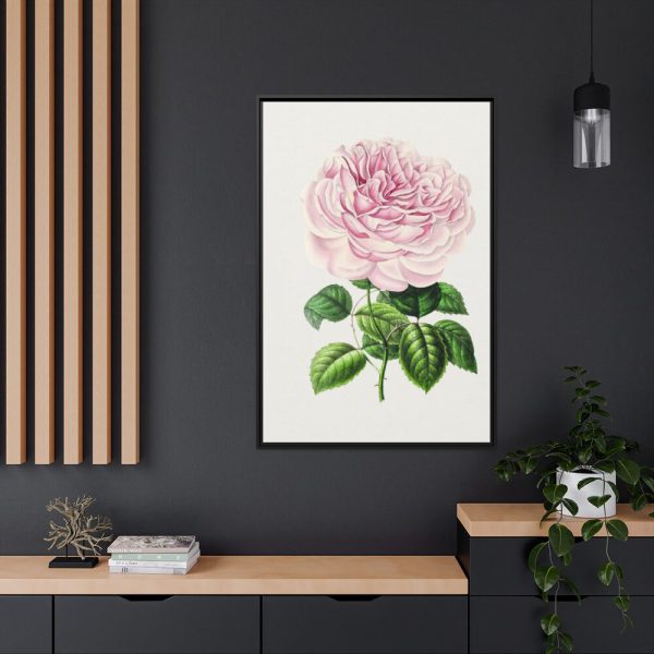 88299-99.jpg Hand Drawn Bengal Rose Framed Canvas