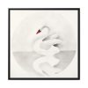 88302-21.jpg Swan by Mary Altha Nims Framed Canvas