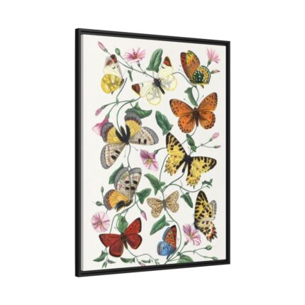 Butterfly & Moth Painting by Paul Gervais Framed Canvas