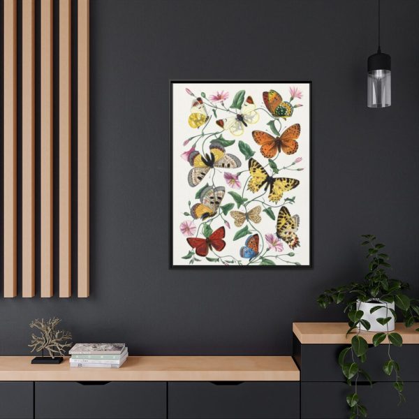 Butterfly & Moth Painting by Paul Gervais Framed Canvas