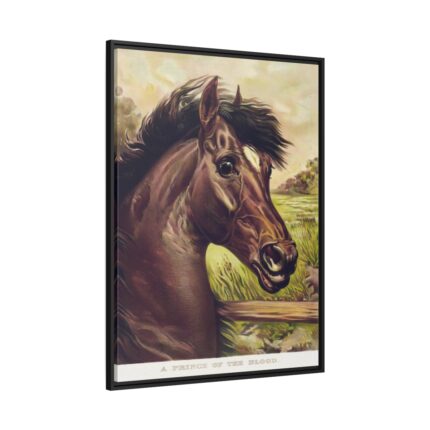 Vintage Horse Illustration Framed Canvas