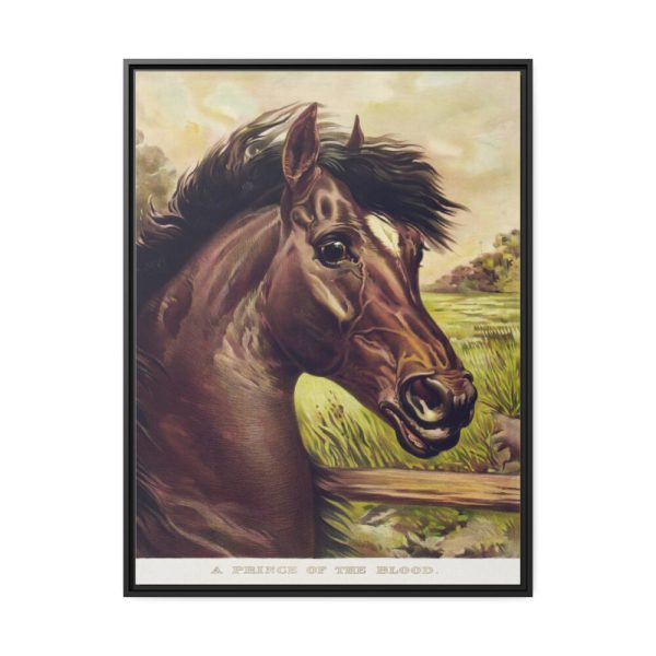 88303-26.jpg Vintage Horse Illustration Framed Canvas
