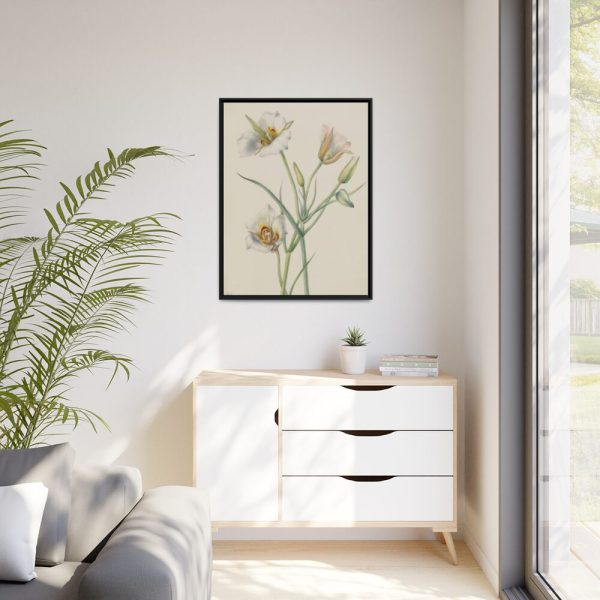 Sego Lily by Mary Vaux Walcott Framed Canvas