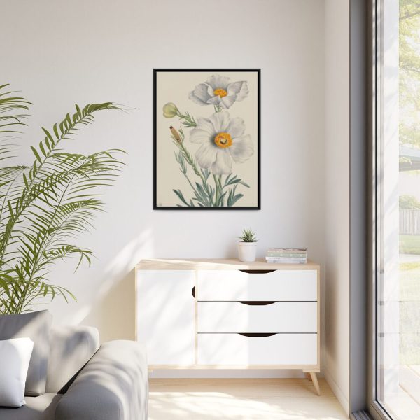 Matilija Poppy by Mary Vaux Walcott Framed Canvas