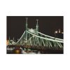 91638-136.jpg Budapest Liberty Bridge Franz Joseph Standard Canvas