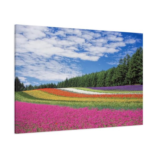 Free Tulip Garden Standard Canvas