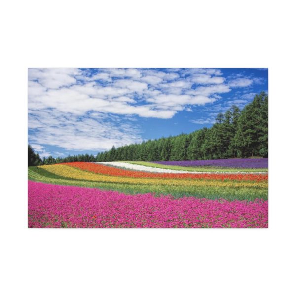 Free Tulip Garden Standard Canvas