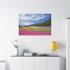 Free Tulip Garden Standard Canvas