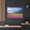 Free Tulip Garden Standard Canvas
