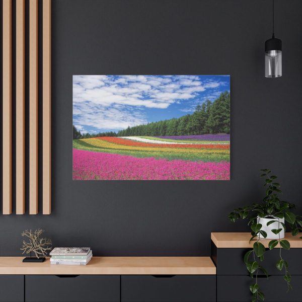 Free Tulip Garden Standard Canvas