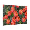 91638-180.jpg Garden Plant Standard Canvas