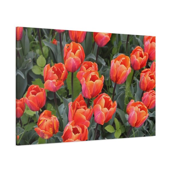 91638-180.jpg Garden Plant Standard Canvas